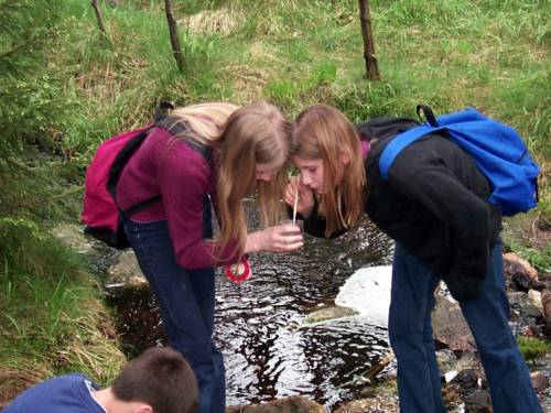 Schülerinnen bei einer Wasserprobe im Wald.
