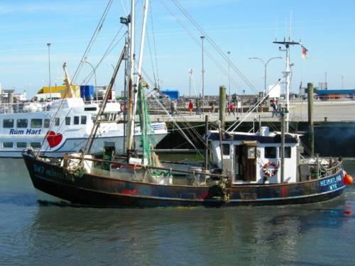 Ein Kutter im Hafen beim Auslaufen.