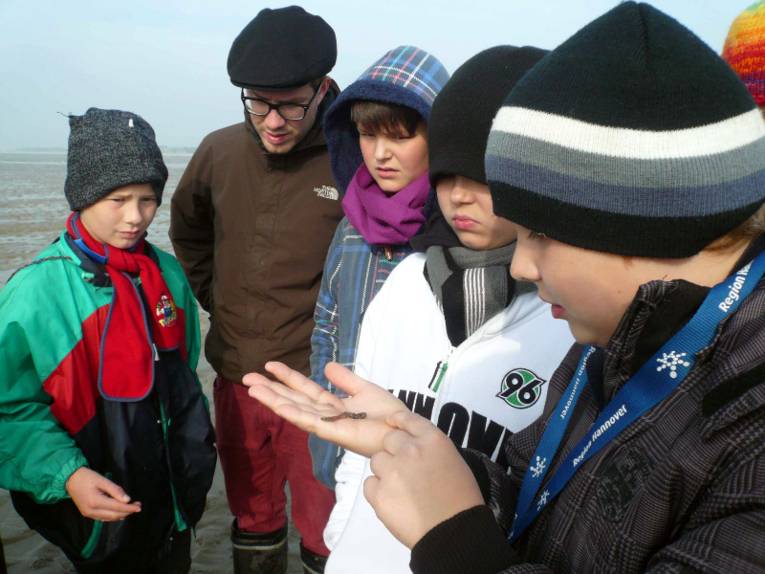 Kinder stehen im Watt und betrachten eine Wattwurm der sich in einer Hand befindet.